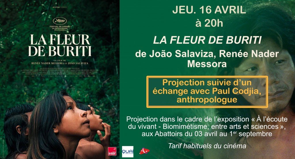 actualité CinéDebat